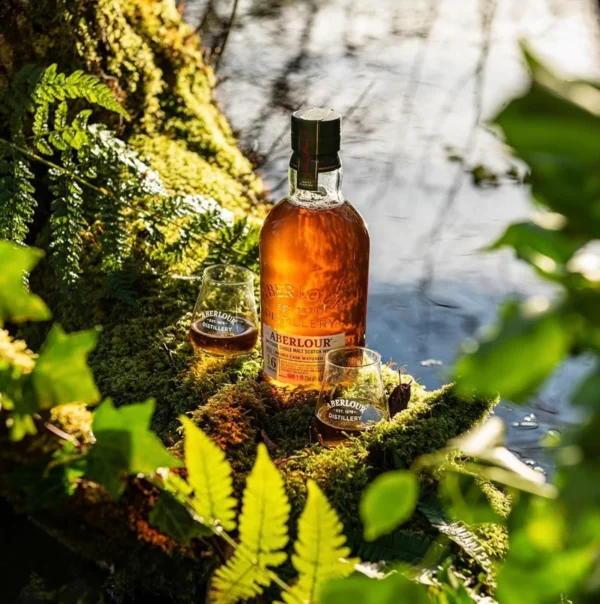 aberlour-16-speyside-single-malt-scotch-700-ml-2 Aberlour 16 Speyside Single Malt Scotch 700 ml