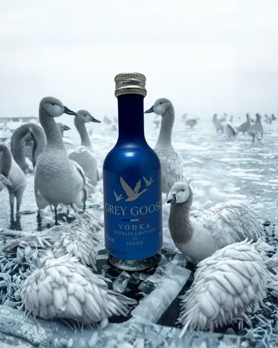 grey-goose-miniatura-50-ml-2 Grey Goose Miniatura 50 ml