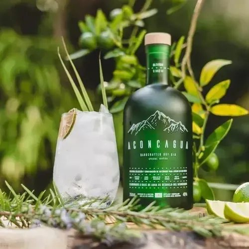 Aconcagua Verde 750 ml