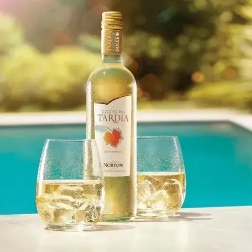 Norton Cosecha Tardía Blanco 750 ml